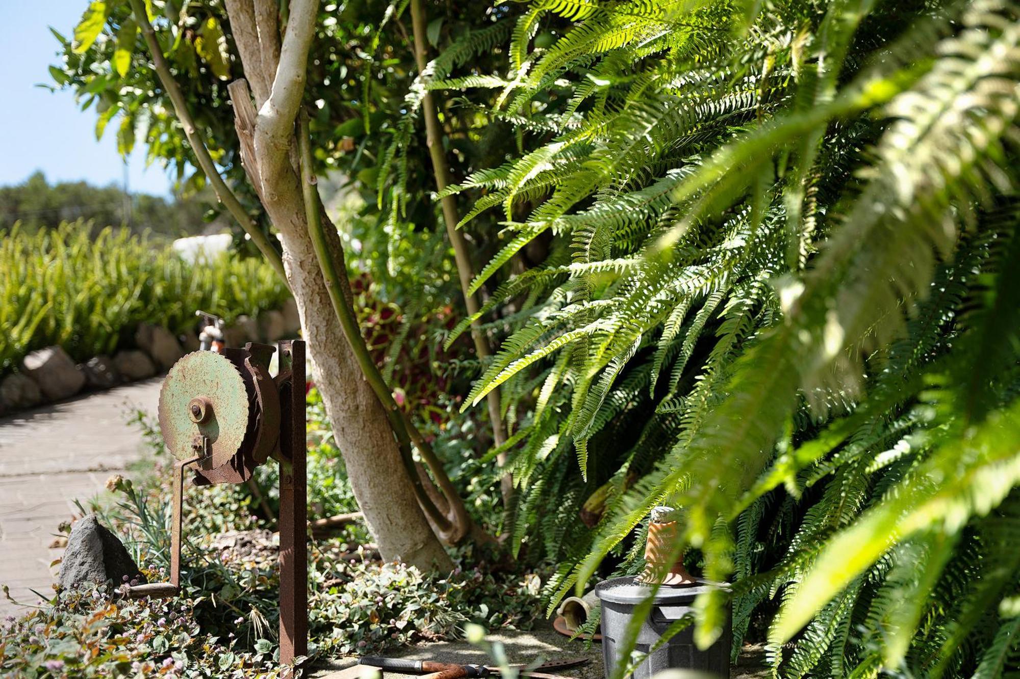 Casa Rural Medina 2 ซานเซบาสเตียน เด ลาโกเมรา ภายนอก รูปภาพ